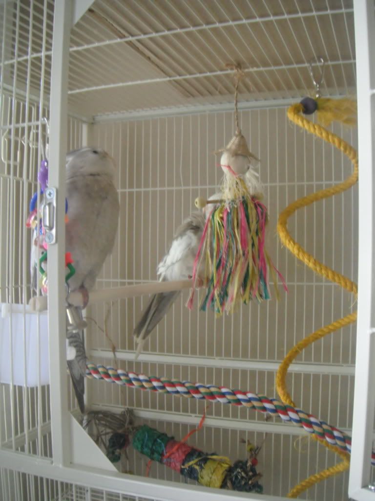 DSCF2682.jpg