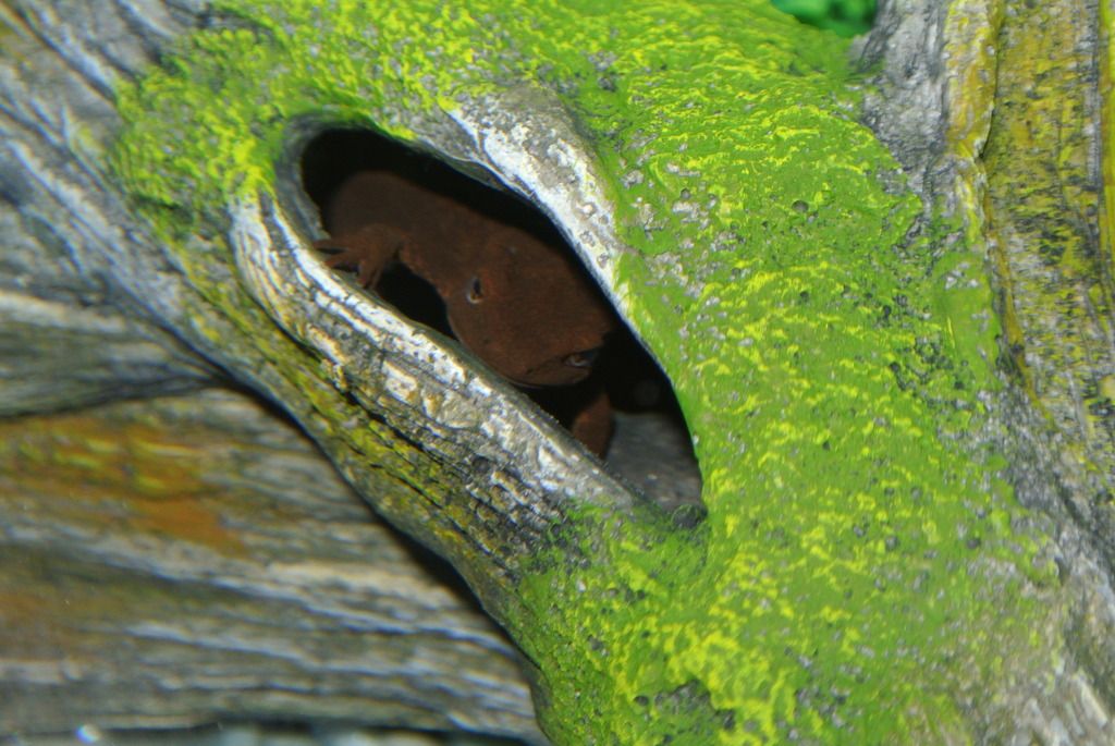 DSC_9791_zpsyijbb5cs.jpg