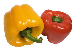 bellpepper.jpg