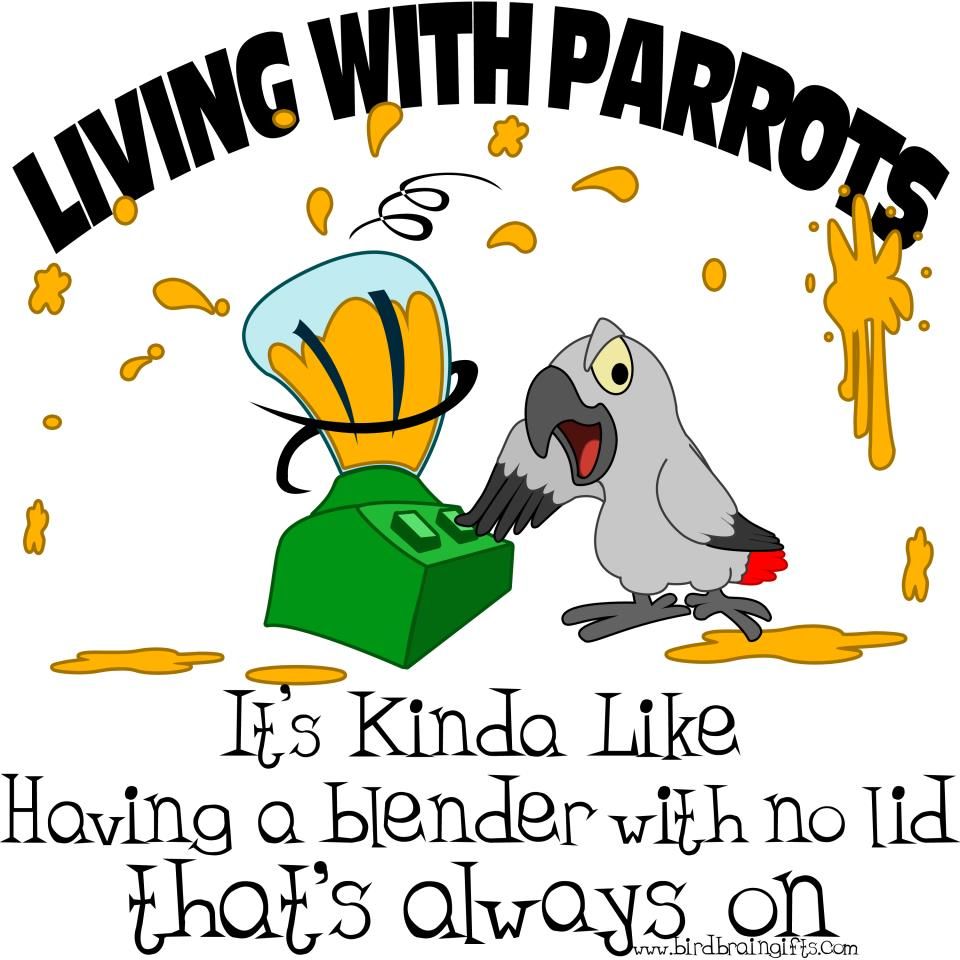 parrotblender.jpg