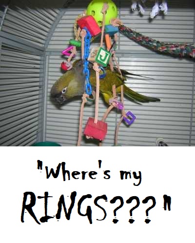 TGyVVP0.jpg