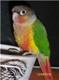 Memo120410-2.jpg