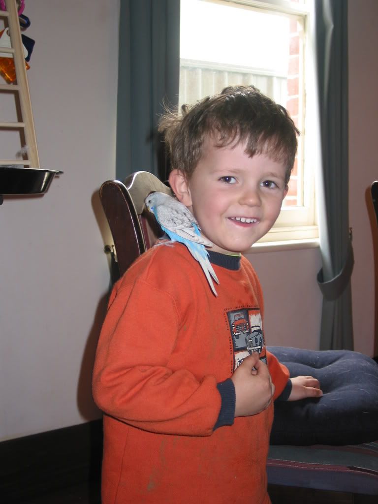 theboys104.jpg