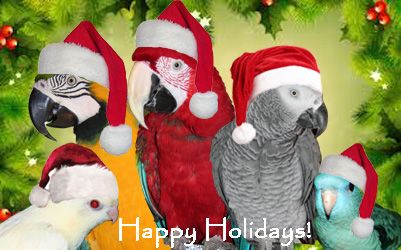 holidaysignature_zps51fc5472.jpg