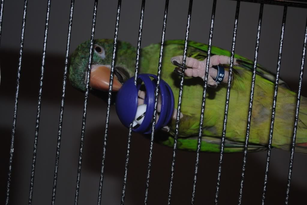 DSC_1195.jpg