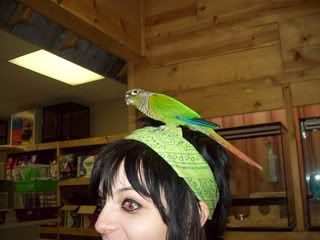 100_2220.jpg