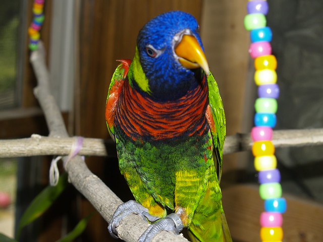 9337832948_b371cf1151_z.jpg