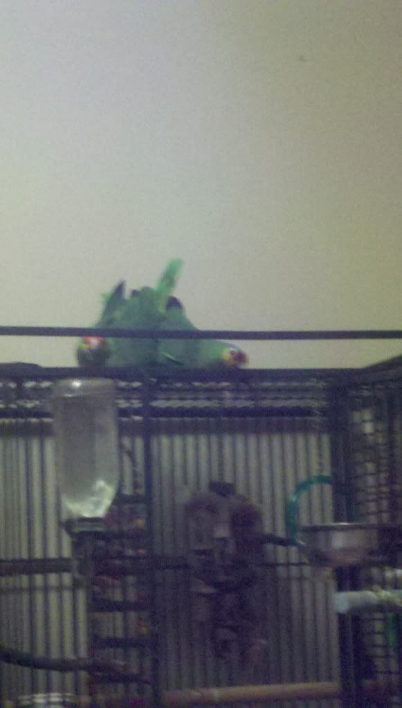 2012-01-22_20-33-08_195.jpg