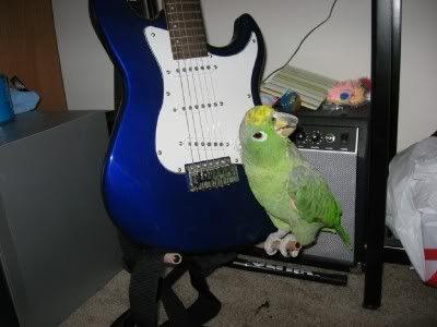 Pepsiplayingguitar.jpg