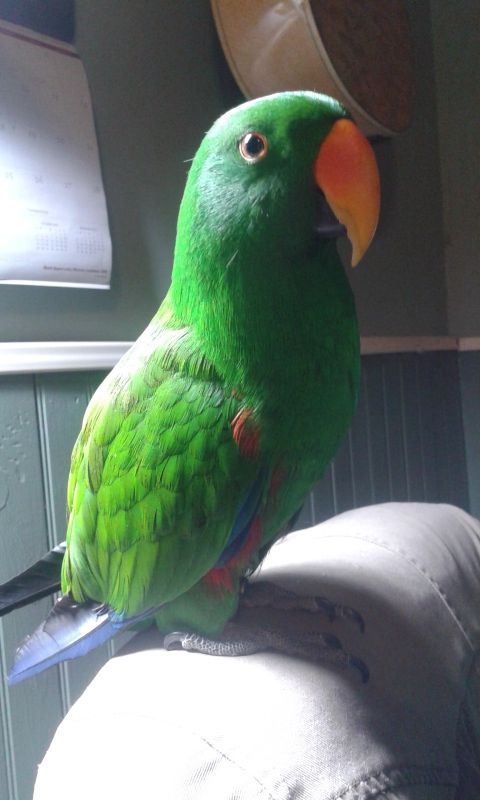 20160119_204712.jpg