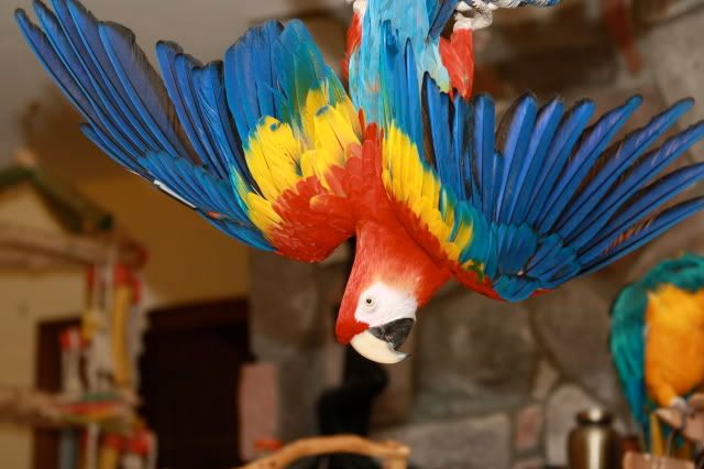 IMG_0375.jpg
