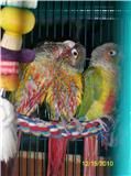 Memo121510-4.jpg