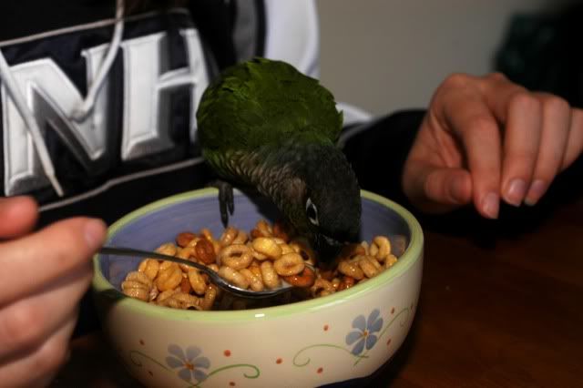 cereal2.jpg