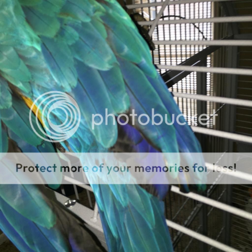 2EE50E45-BA97-48F2-A842-CE31DEC373B6.jpg