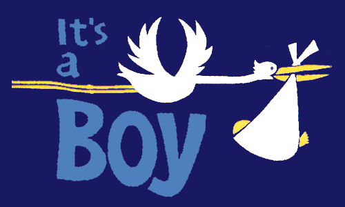 itsaboystork.gif