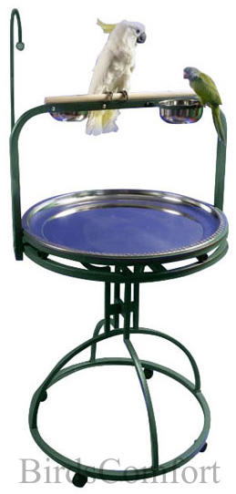parrot_play_stand.jpg