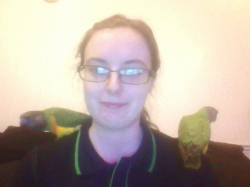 parrots2_zps6579a71d.png