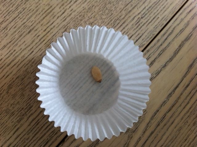 seedparcel.jpg