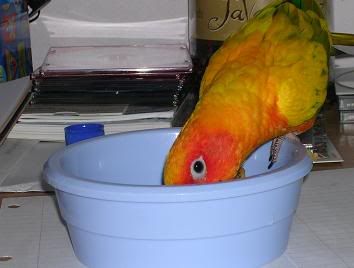 food3.jpg