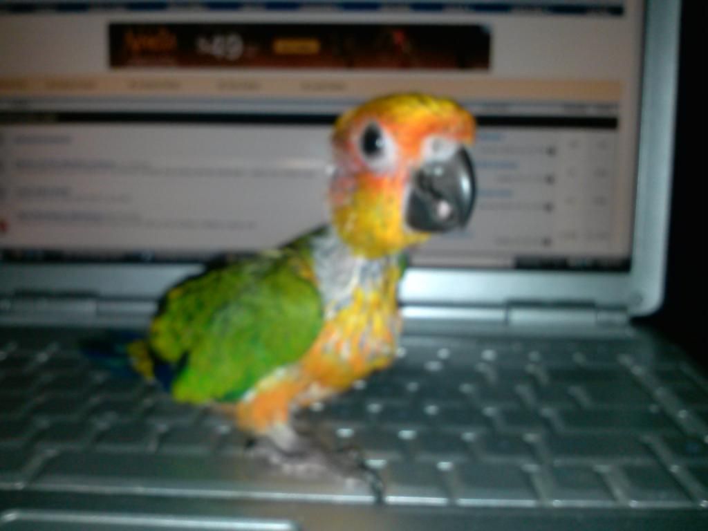CAM00555.jpg