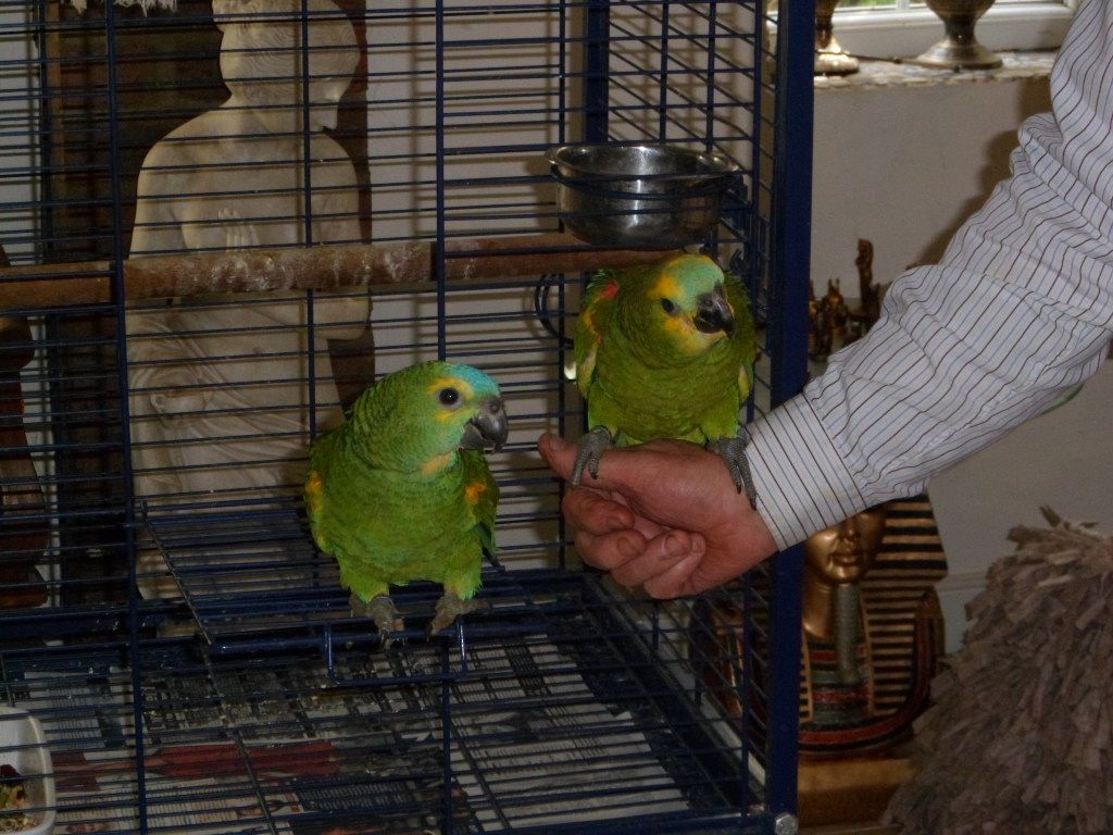babies002.jpg