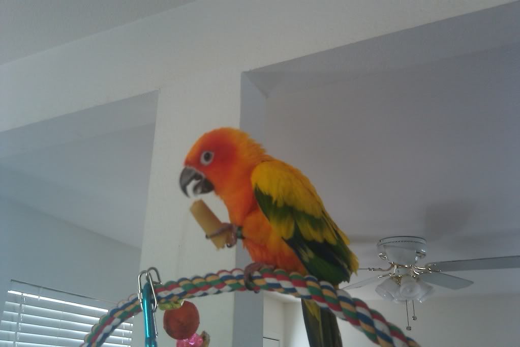 IMAG0132.jpg