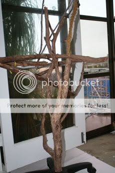 IMG_0235.jpg