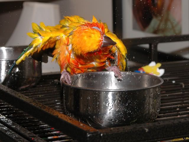DSC_5332.jpg
