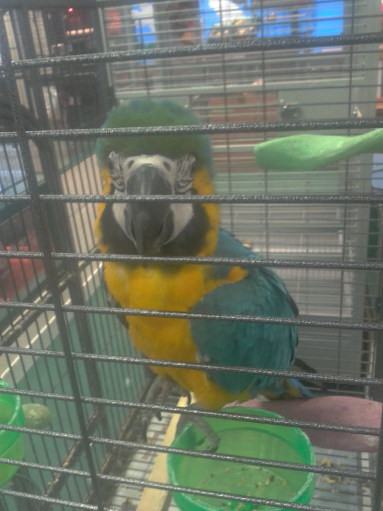 2012-03-15162312.jpg