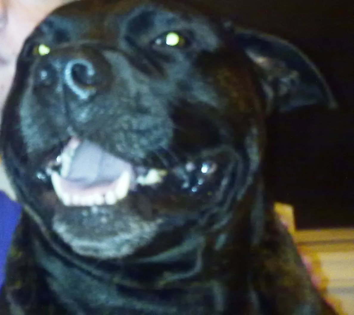 22042011061.jpg