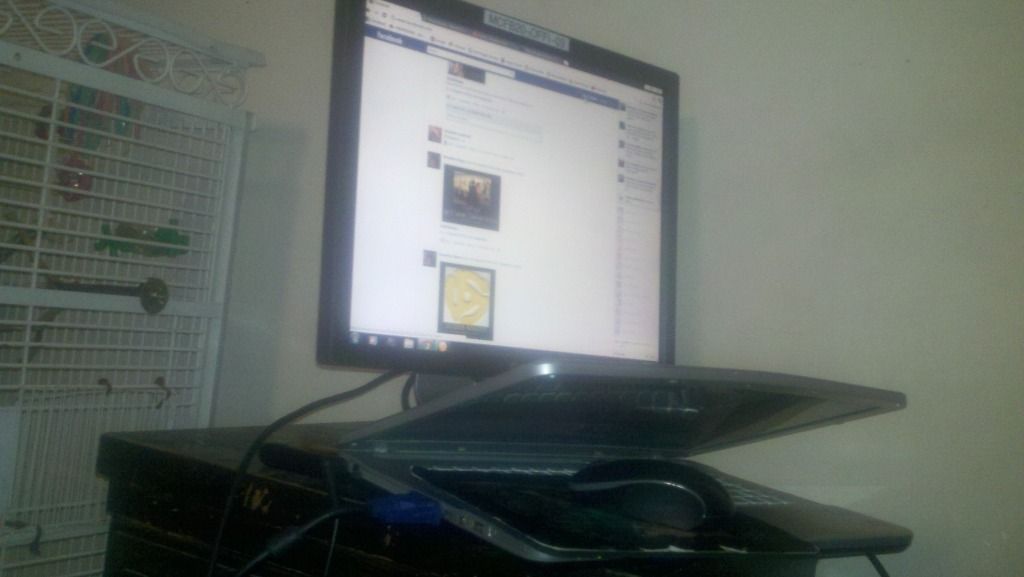 2012-02-13_01-13-56_892.jpg