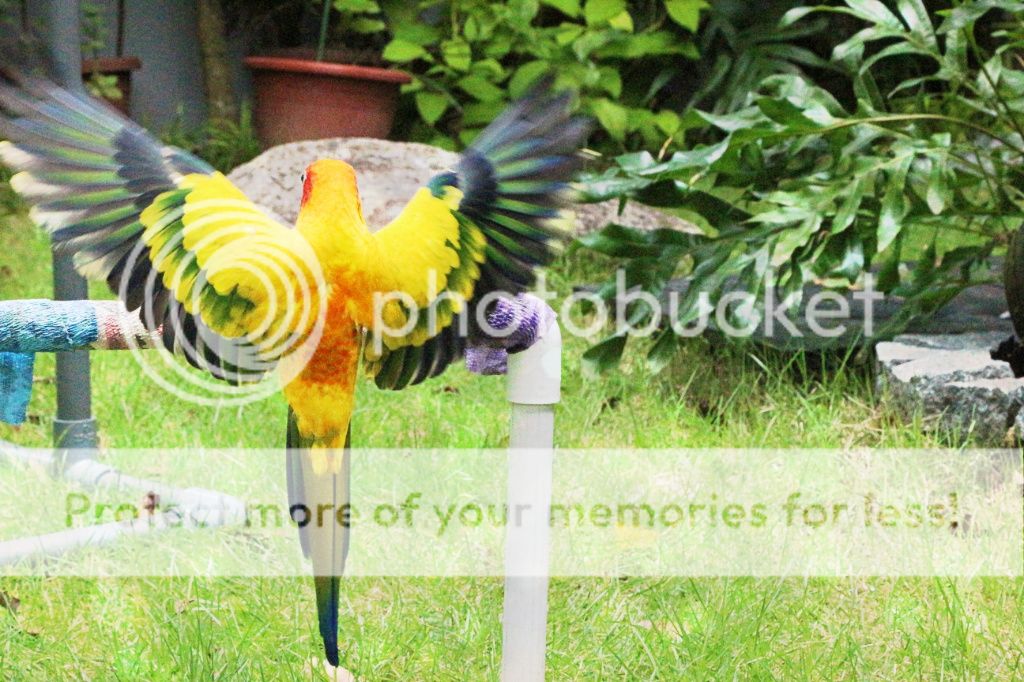 CYMERA_20140809_233727_zps7ef58321.jpg