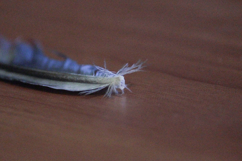 CRZQnM7.jpg