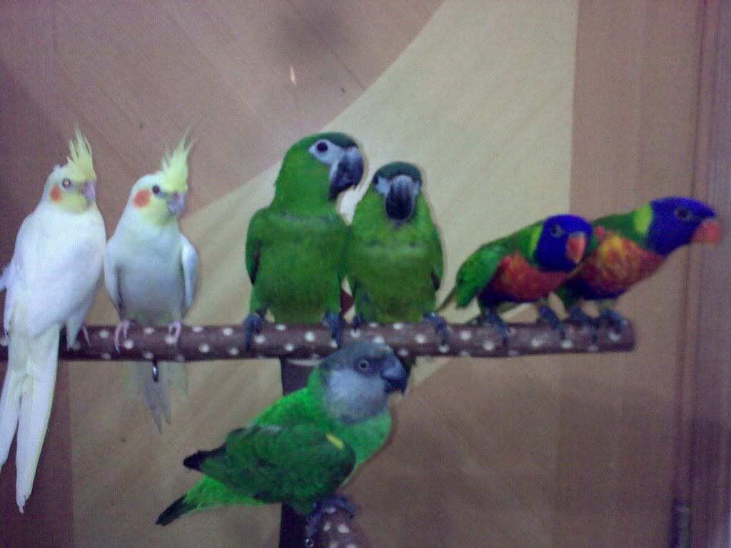 20100917364.jpg