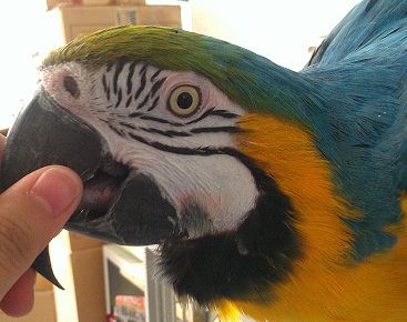 IMAG0888.jpg