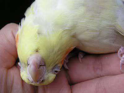 Casey003.jpg
