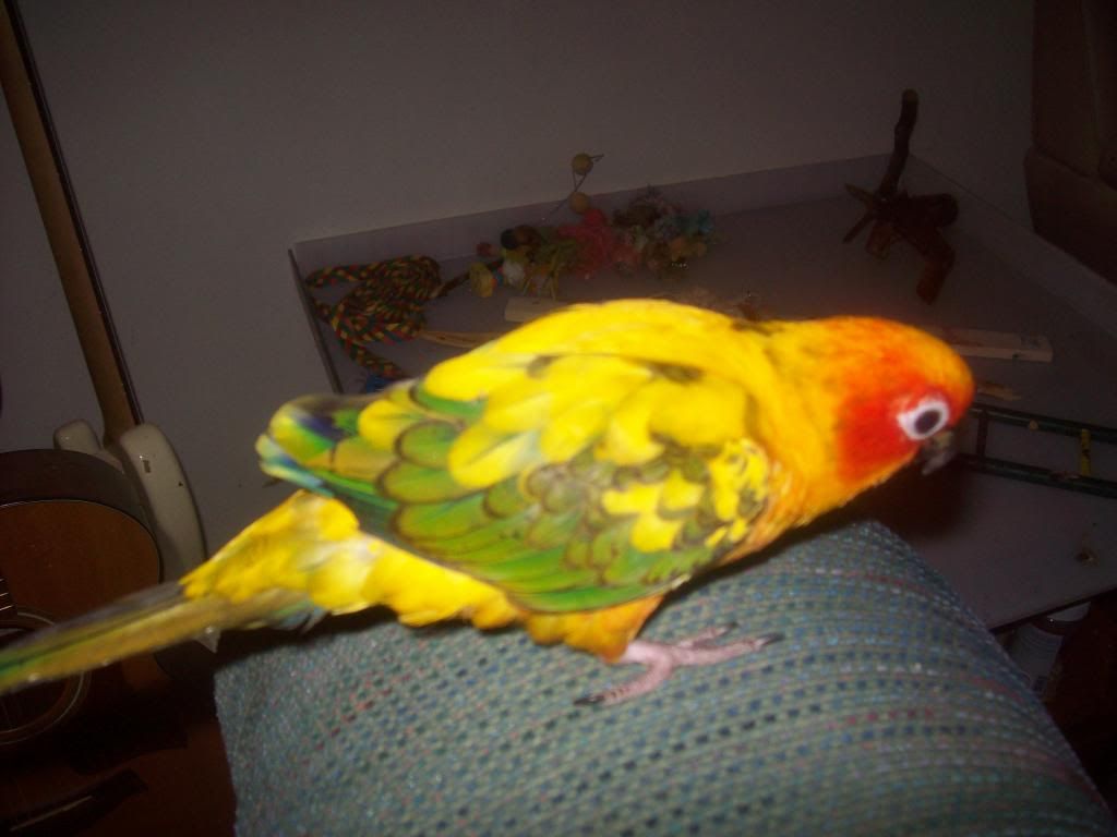 106_0564_zps6beead54.jpg