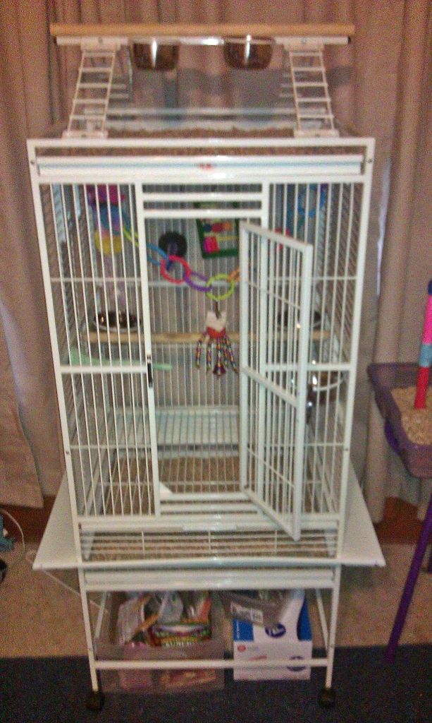 buddysnewdigs.jpg