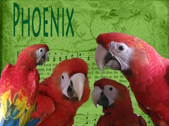 phoenix4_zpsf8096133.jpg