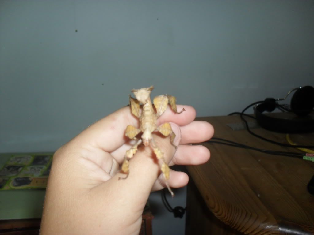 SAM_0849.jpg