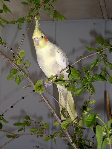 7bcd4539.jpg