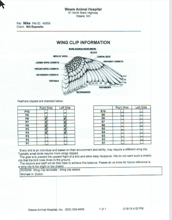 wingclip.gif