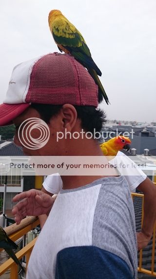 DSC_0067_zpsy4d97ytn.jpg