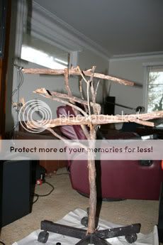 IMG_0237.jpg