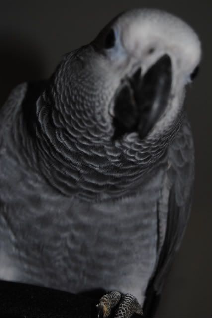 DSC_0360-1.jpg