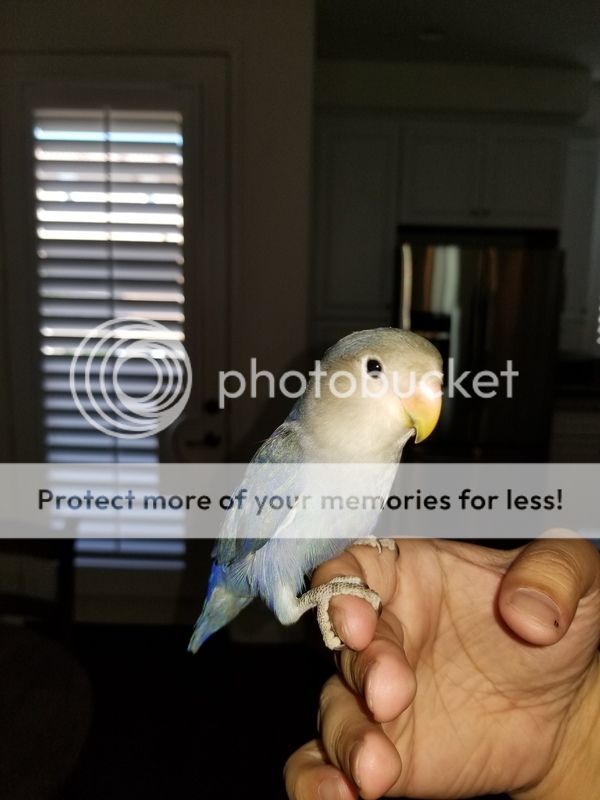 20180626_154920.jpg