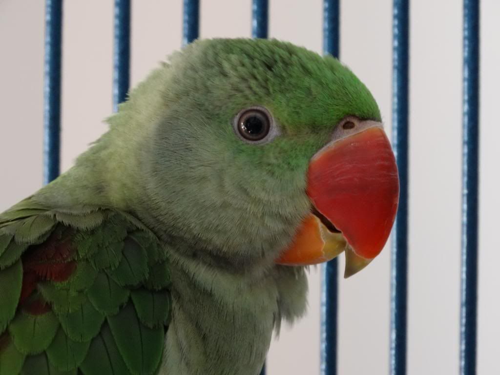 image_zpsa767f1a5.jpg