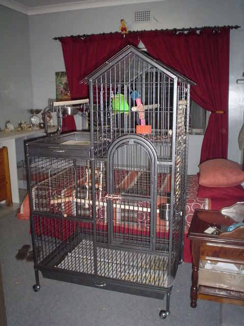 DSC01804.jpg