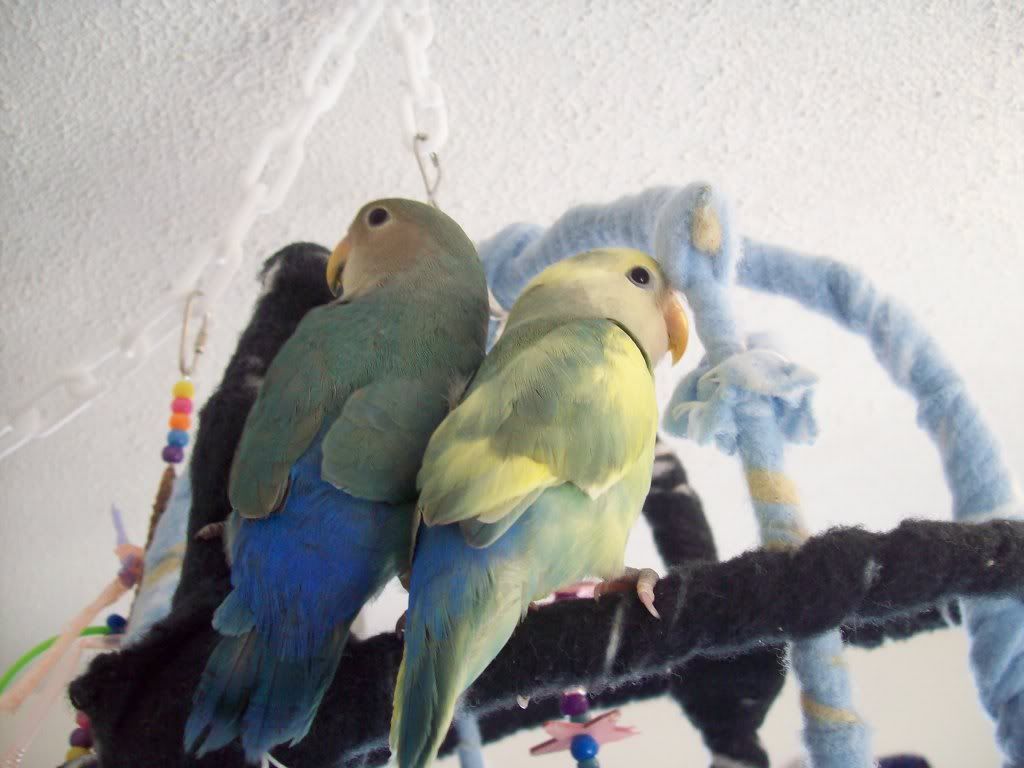 310_6111.jpg