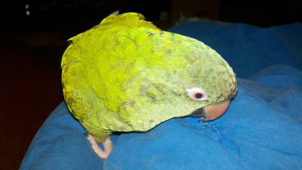 2012-01-05_00-02-07_85.jpg